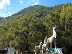 -长沙黑麋峰国家森林公园