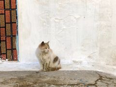 -乌达雅堡