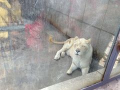 -西安秦岭野生动物园