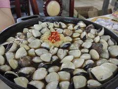 -顺德哥卜卜贝(旗舰店)