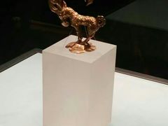 -陕西自然博物馆