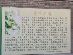 -白云观