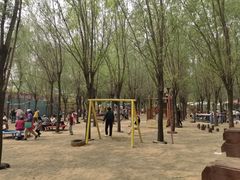 -西部长青自然儿童乐园