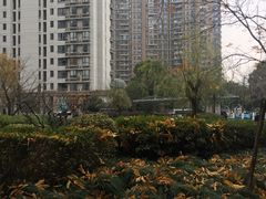 -新湖明珠城