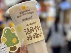 -猫的魔法密林(衣裳街店)
