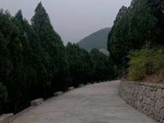 -佛慧山