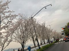 -钱塘江