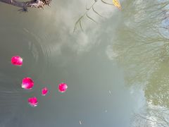 -昆山城市生态森林公园