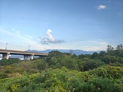 -Helens海伦司小酒馆(王家湾人信汇店)