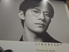 -大视光学•LINDBERG林德伯格•全球手工眼镜集合店(王府井店)