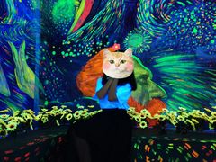 -南昌梵高星空艺术馆