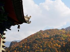-小五台金河景区
