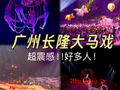 -广州长隆国际大马戏