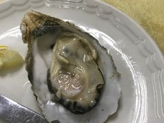 冰镇生蚝-蚝家菜馆(沙井店)