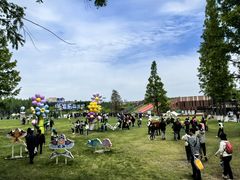 -黄海国家森林公园