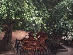 -龙达温泉生态城