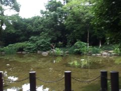 -新湖明珠城