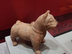 -烟台市博物馆