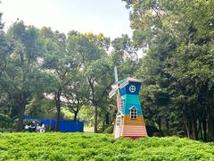 -上海共青森林公园