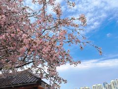 -莫愁湖公园