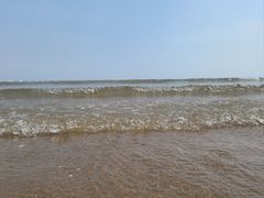 -日照海滨国家森林公园