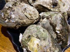 -烧蠔帮·生蚝海鲜牌档(观海店)