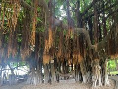-胡里山炮台