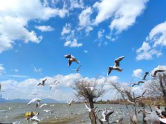-捞渔河湿地公园