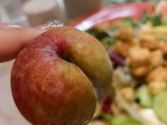-厦门艾美酒店·新食谱西餐厅