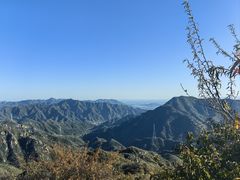 -大岭沟猕猴桃谷风景区