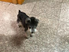 -宠福鑫康馨动物医院·骨科·眼科