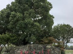 -长兴太湖图影湿地文化园