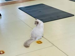 -中田健身工作室(中针商务店)