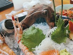 -月龍吟(朝龙汇店)