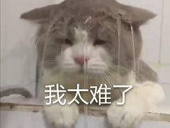 -广达眼镜炖罐(广达店)