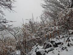 -东白山