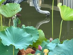 -苏州河梦清园环保主题公园