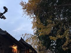 -冒椒火辣(奎星楼街店)