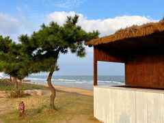 -巧克力渔家.小船海鲜家常菜(万平口店)