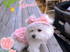 -毛辣果·酸(OHA复兴西路店)