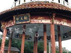 -江南天池