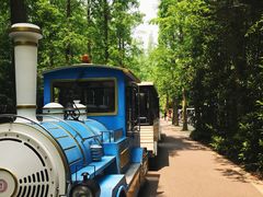 -崇明东平国家森林公园烧烤房车露营地