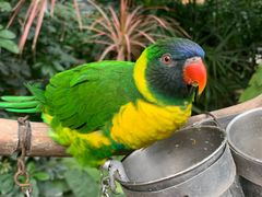 -南宫五洲植物乐园