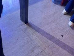 -移动谜城·大笨象密室逃脱(五棵松店)