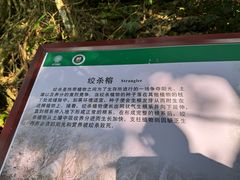 -中国科学院西双版纳热带植物园