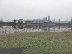 -月湖风景区