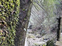 -东天目山风景区