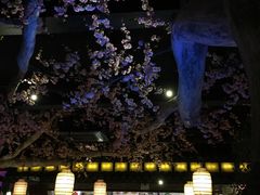 景观位-吴越荣记·苏州菜(月光码头店)