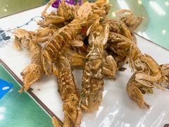 濑尿虾-景好海鲜餐厅(大鹏必选旅游店)