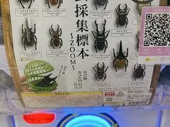 -上海大自然野生昆虫馆